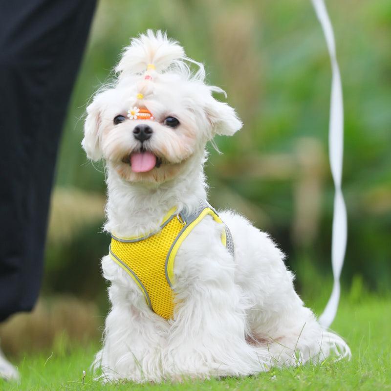 Break-Free Cat Traction Harness Set With Breathable Mesh Chest Strap-0